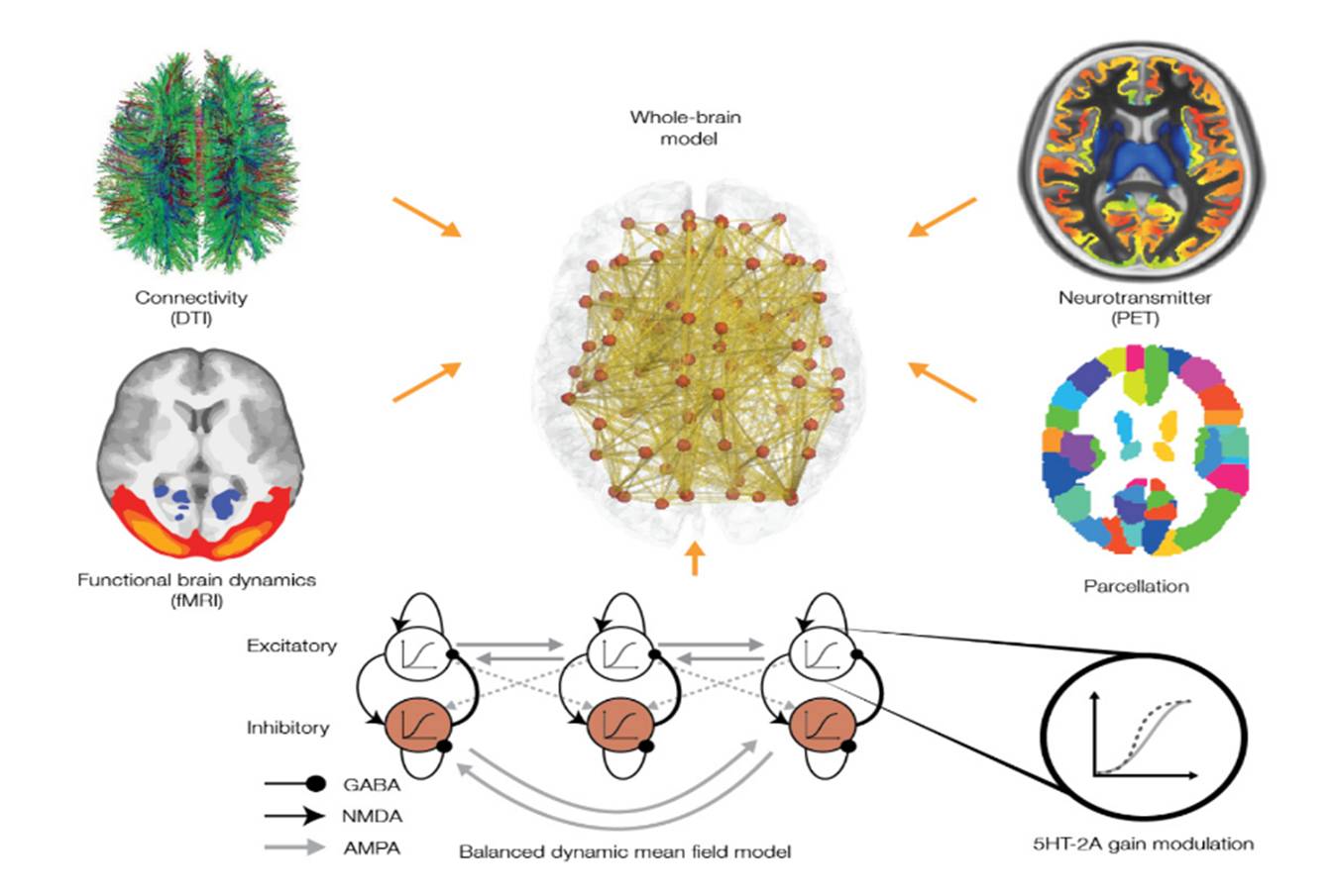 Figure 10: Overview of Integrating Multimodal Data Including Neuromodulation into a Whole-Brain Neuronal Model