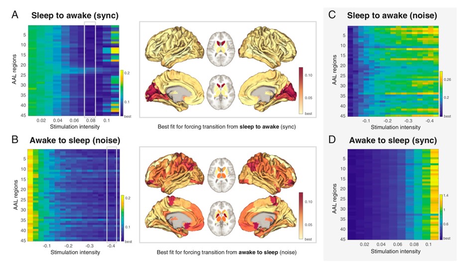 La imagen muestra el resultado principal. Cuales son las áreas que al ser estimuladas fuerzan la transición del cerebro despierto a dormido, y viceversa. Imatge inicial - La imagen muestra el resultado principal. Cuales son las áreas que al ser estimuladas fuerzan la transición del cerebro despierto a dormido, y viceversa.