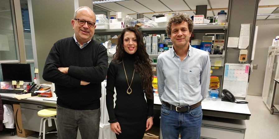 Imatge inicial - D'esquerra a dreta: David Andreu, Maria Gallo i Rafael Maldonado, principals participants en el projecte per part de la UPF.