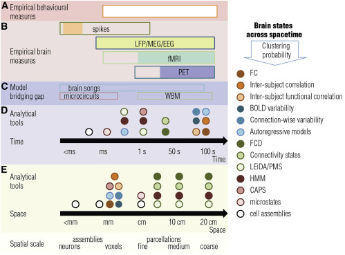 Imatge inicial - Figura 1: Taxonomía de herramientas para caracterizar estados cerebrals en el tiempo y en el espacio.