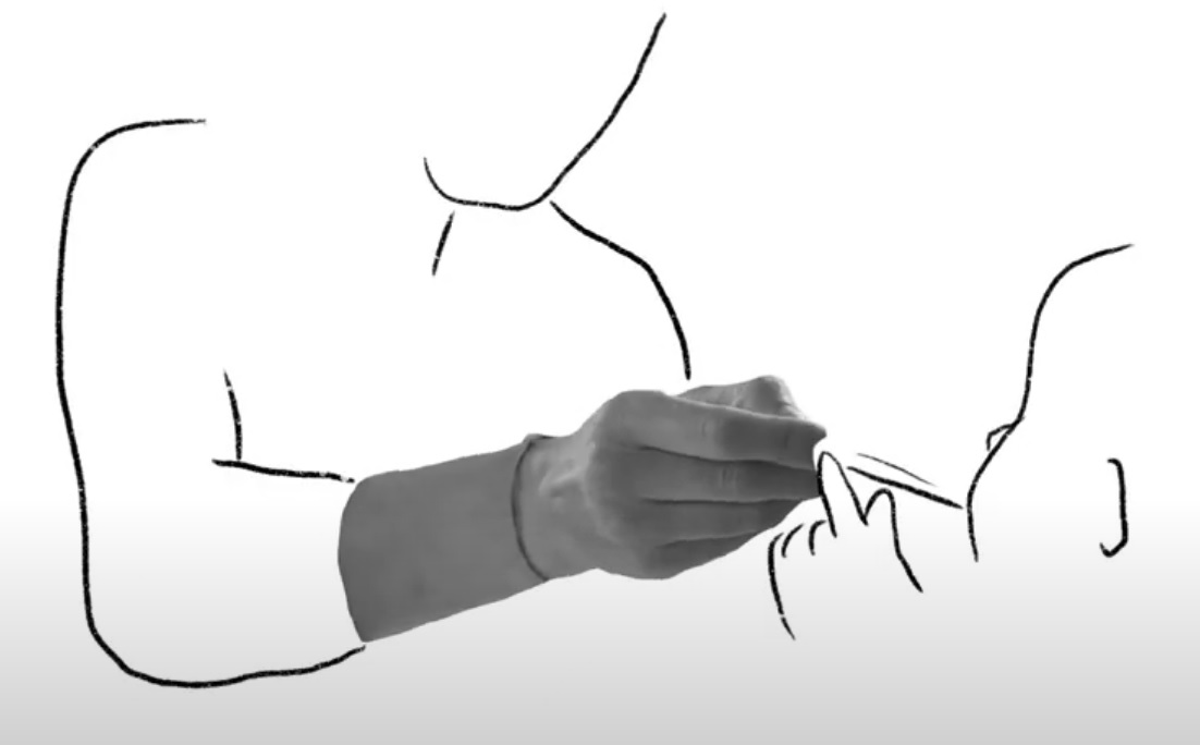 Imatge inicial -