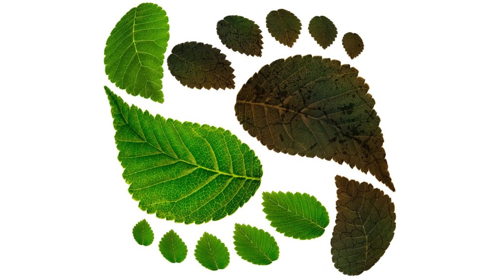 FOTO: Shutterstock Imatge inicial - FOTO: Shutterstock