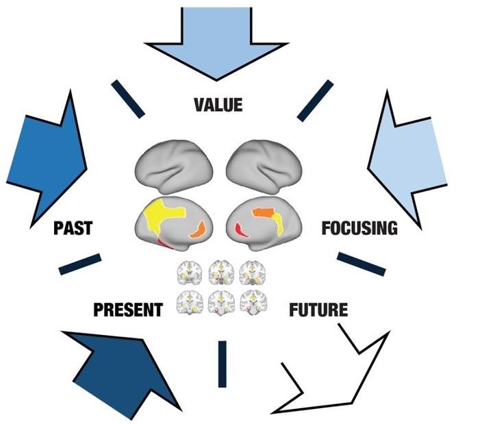 La teoría de la Termodinámica de la Mente permite descubrir la jerarquía del cerebro y encontrar las redes de regiones del cerebro que orquestan la integración del presente, el pasado y su importancia para focalizarse en planificar el futuro. Imatge inicial - La teoría de la Termodinámica de la Mente permite descubrir la jerarquía del cerebro y encontrar las redes de regiones del cerebro que orquestan la integración del presente, el pasado y su importancia para focalizarse en planificar el futuro.