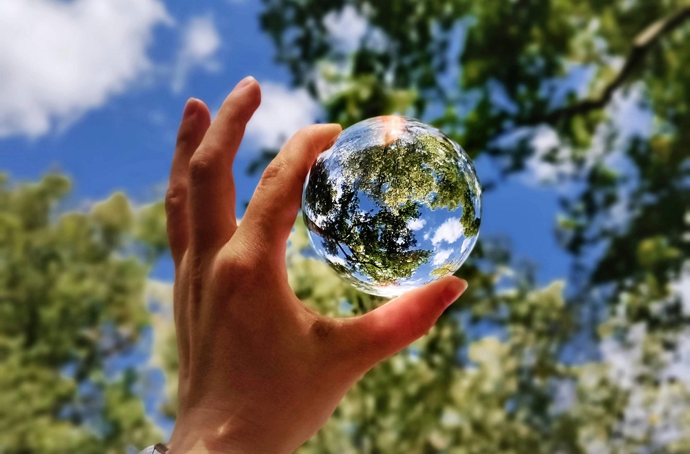 UPF launched the Planetary Wellbeing initiative in 2017 Imatge inicial - UPF launched the Planetary Wellbeing initiative in 2017